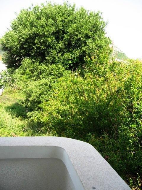 Apartments Villa Mond Apartman *