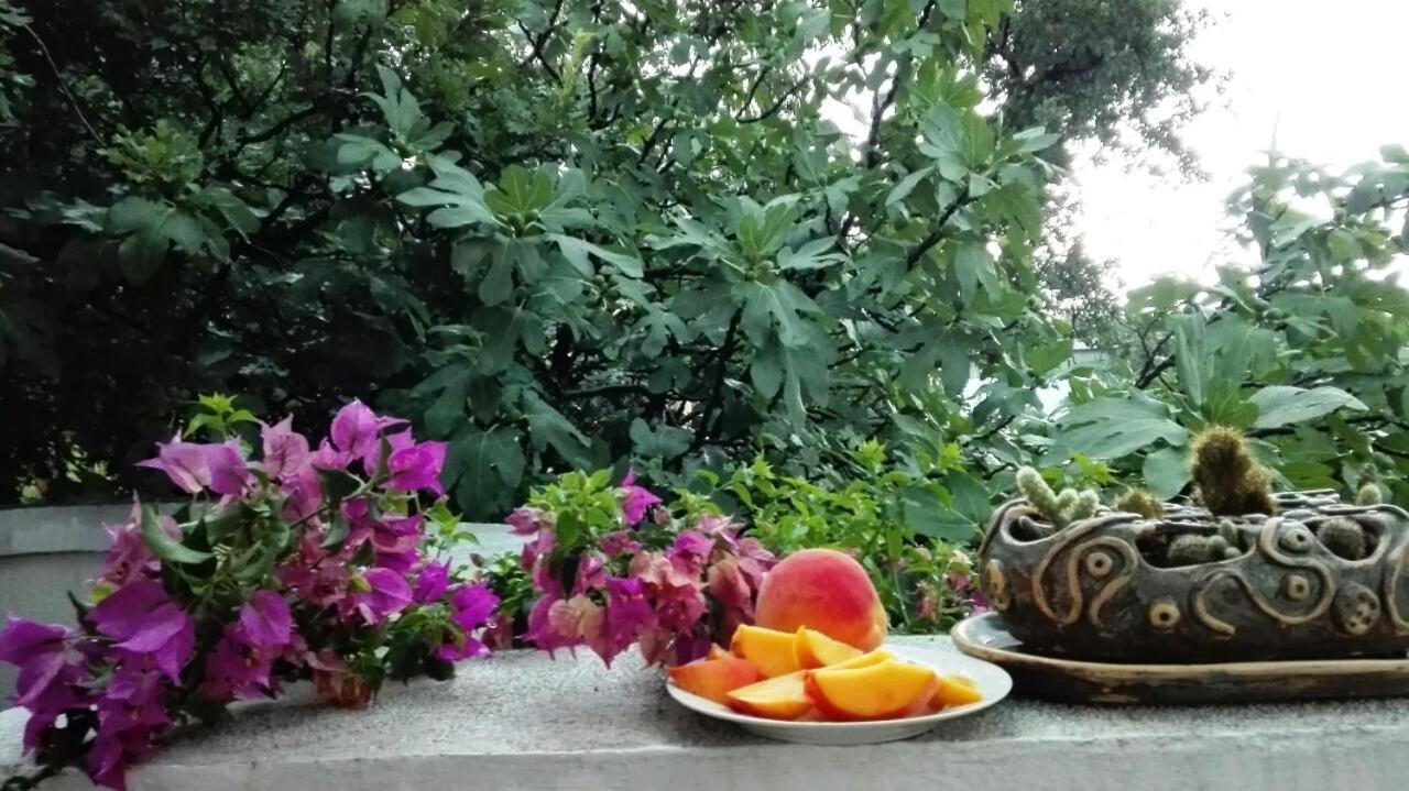 Apartman Apartments Villa Mond *